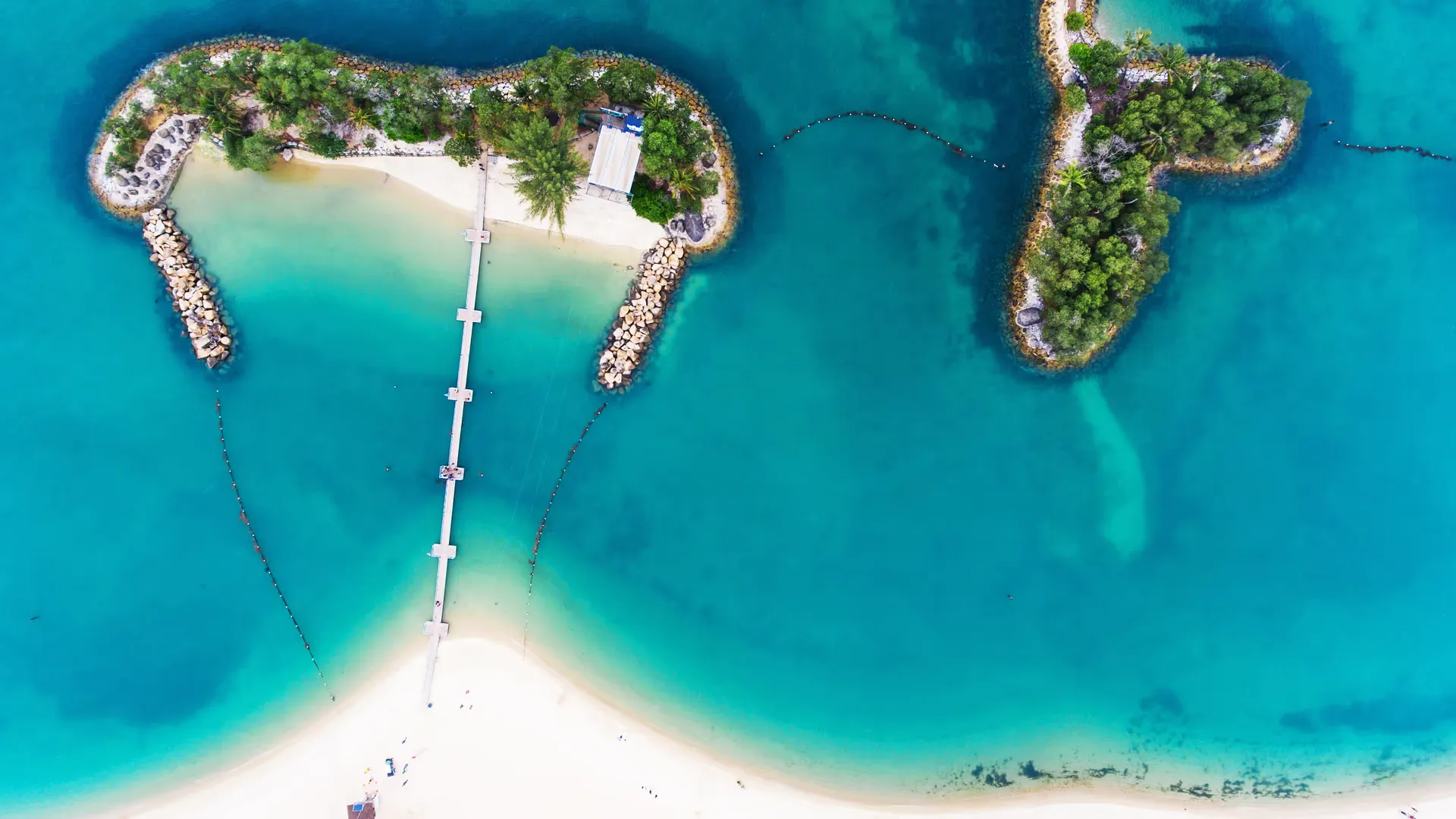 Caribbean